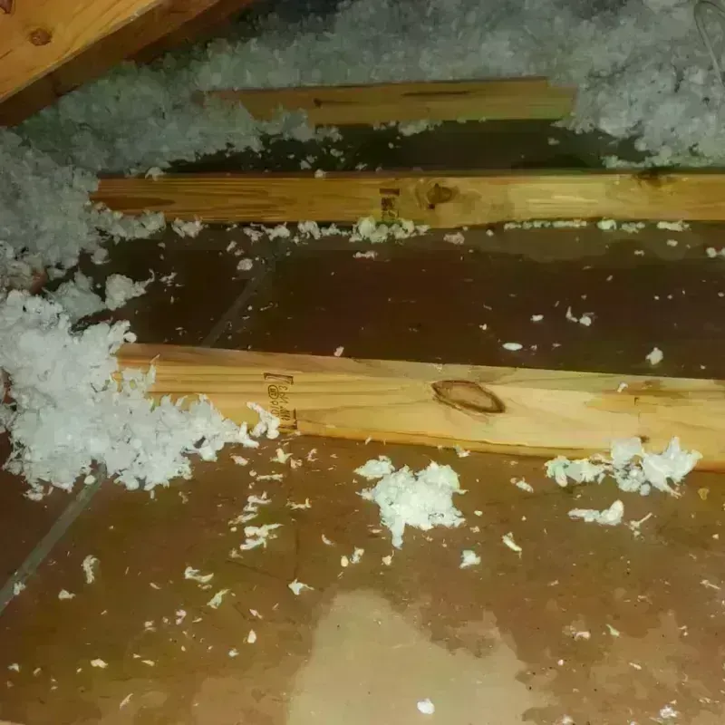 Attic Water Damage in Northfield, VT