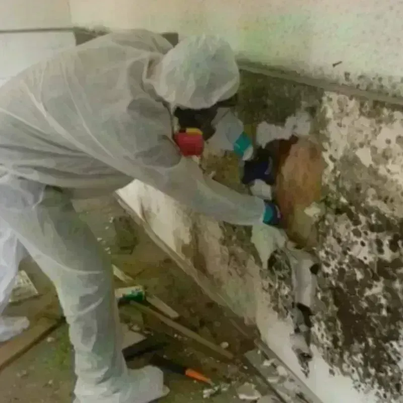 Mold Remediation and Removal in Northfield, VT